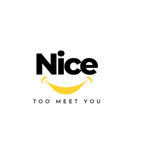NiceTooMeetYou